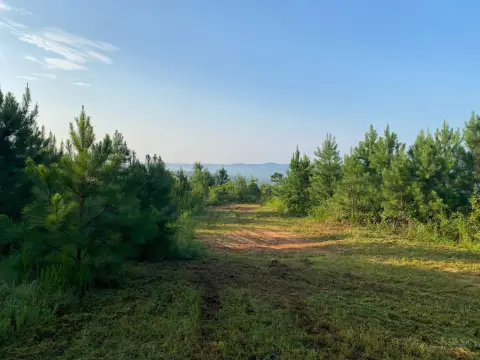 Recreational Timberland Tract
