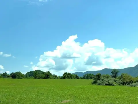 100 Acres Land in Jenkins