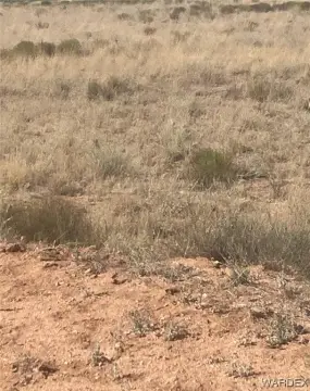 Kingman Land with Well