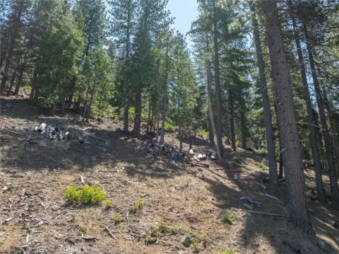 Yosemite Homesite with Sunset Views