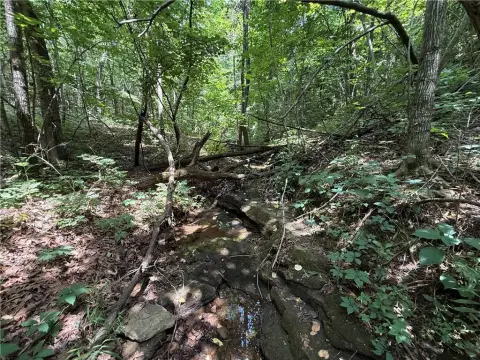 Recreational Hunting Land with Mountain Views