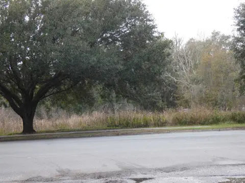 Industrial Land on Springhill Road