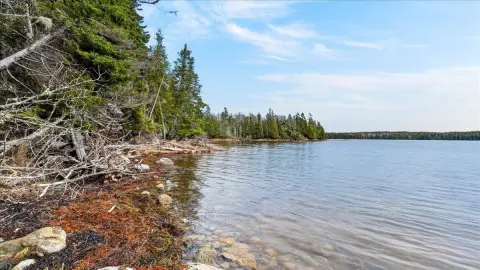 Waterfront Land with Shoreline