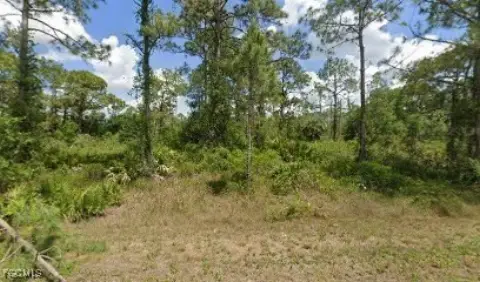 Residential Land in Lehigh Acres