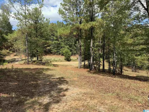 22.8 Acres Recreational Retreat