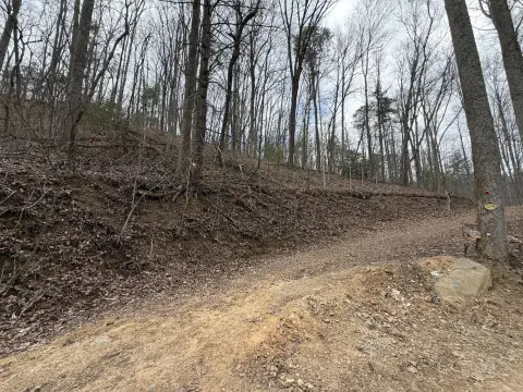 Tennessee Mountain Freedom Land