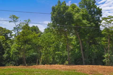 Residential Land in Morristown, TN