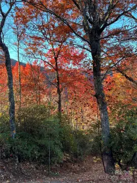 Mountain Land with Septic System