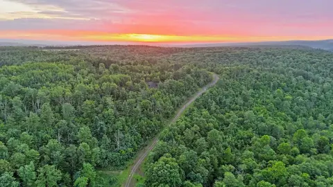 Recreational Hunting Land with Trails