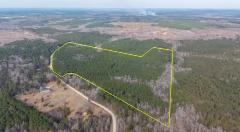 Heavily Wooded Hunting and Recreation Land