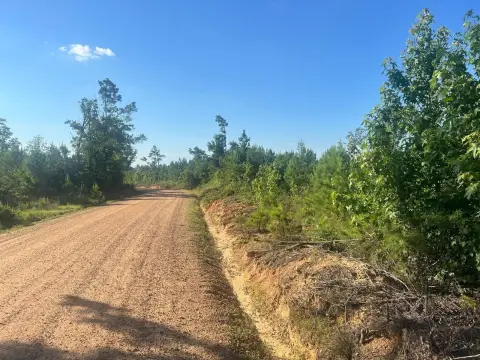 Recreation Hunting Land Tract