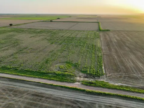 125-Acre Irrigated Farm