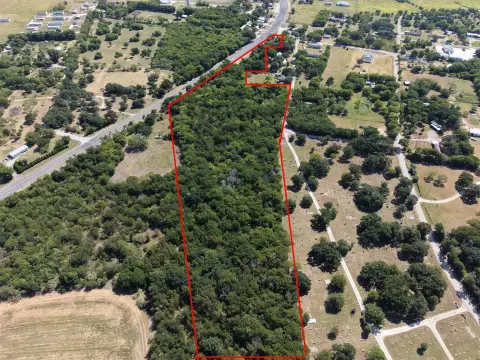 Treed Land Parcel