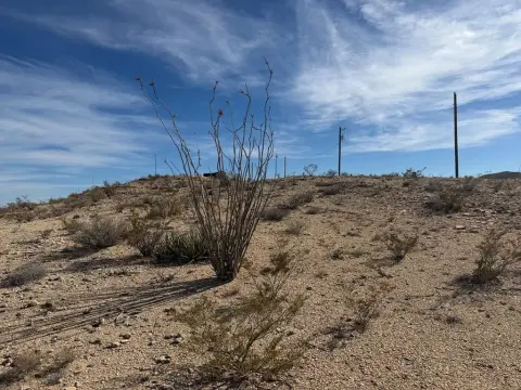 Terlingua Ghost Town Land