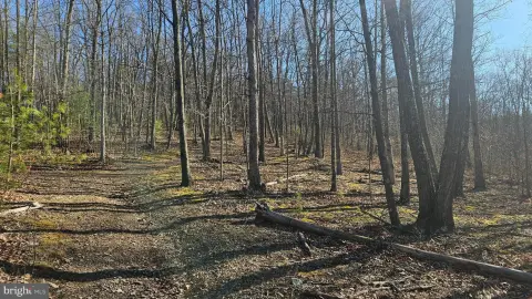 Recreational Hunting Land Tract