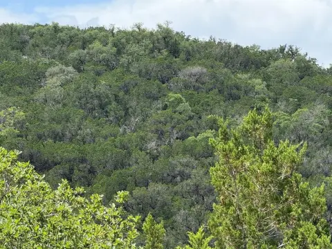 31 Acres Ready for Hunters