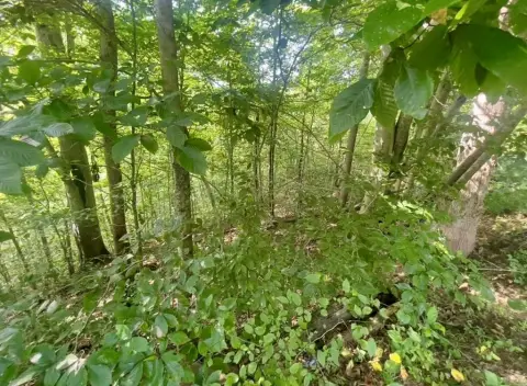 Spacious Residential Lot in Viper, KY