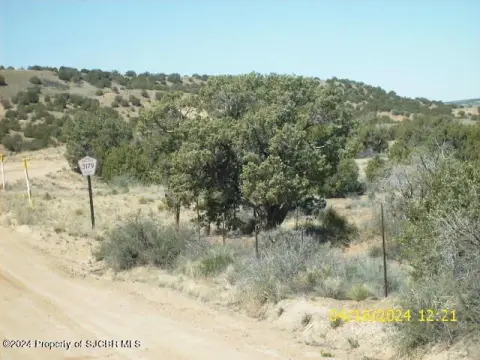 Land Parcel in Aztec, NM