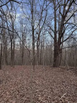 20 Acres of Hunting Land