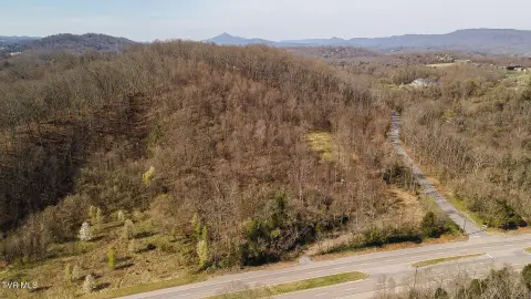 Kingsport Land with Hunting Potential