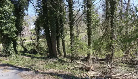 Kingsport Buildable Lot For Sale