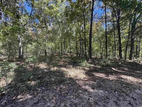 All-Wooded Recreational Property Near Hardy