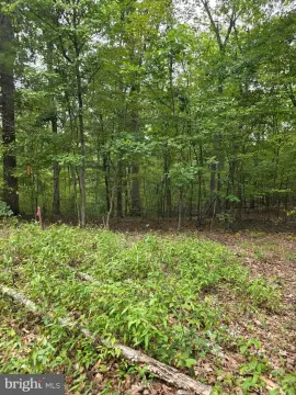 Unrestricted Land