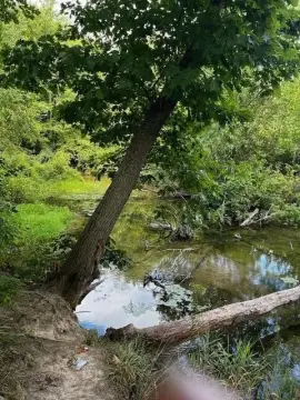 Land with Creek Access