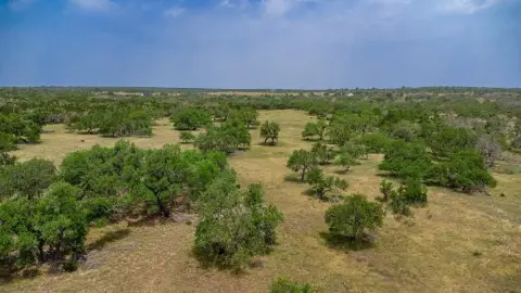 Hardwood Covered Land in Harper, TX