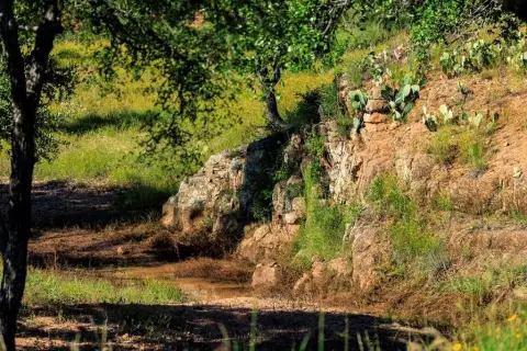 Rural Land with Creek and Views