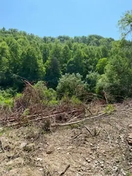 Undeveloped Land for Recreation