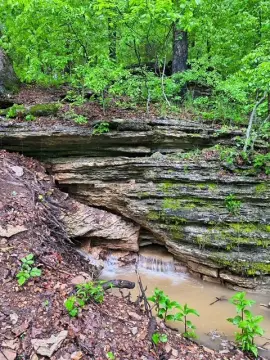 Acreage Hunting Land with Shop