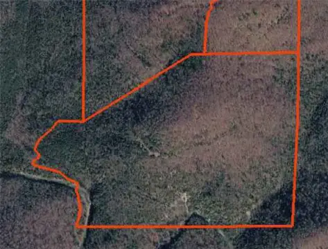 Wooded Hunting & Recreation Land