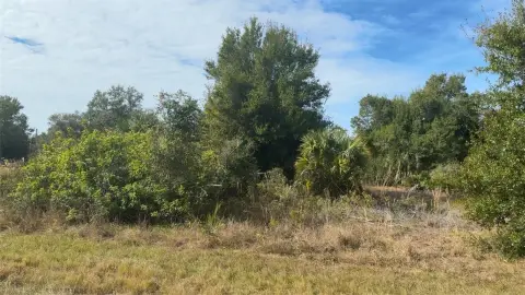 Residential Lot in Port Charlotte
