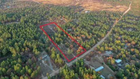 Undeveloped Land in Batesburg-Leesville