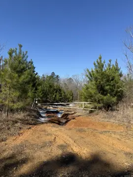 80 Acres South of Blevins