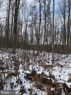 Recreational Land in Clarence, PA