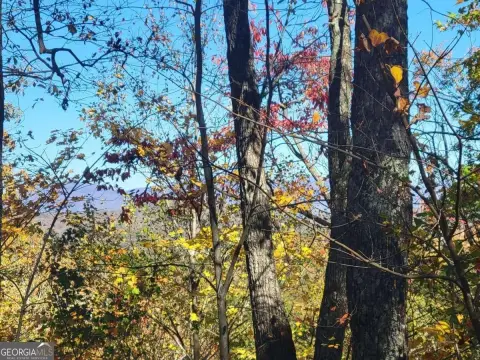 Ellijay Land with Creek, Pond