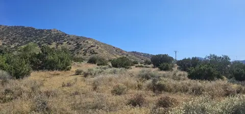 Acton Ranch Home Opportunity
