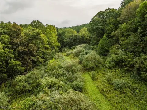 Wooded Hunting Land