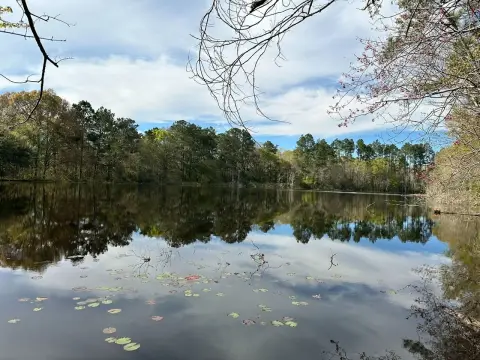 17-Acre Homesite with Private Lake