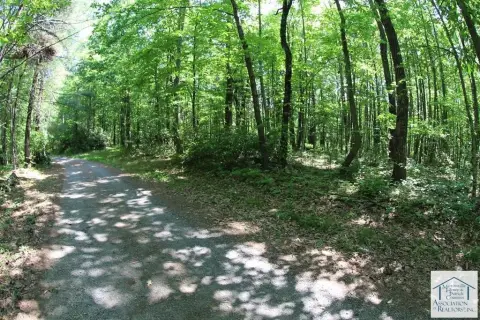 Land For Sale in Meadows