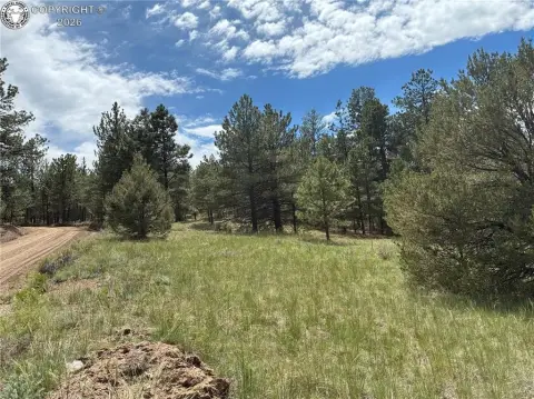 Treed Mountain Home Site