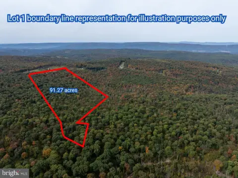 Hunting Land with Road Frontage