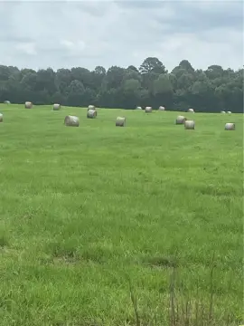 Vacant Agricultural Land with Pond