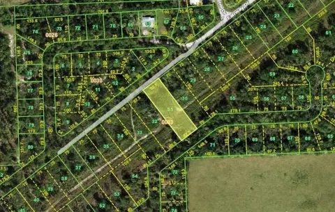 Punta Gorda Commercial Land Parcel