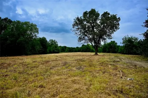 223 Acres Hunting Land in Talco