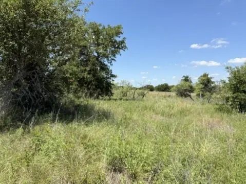 Native Pasture and Tree-Lined Tract