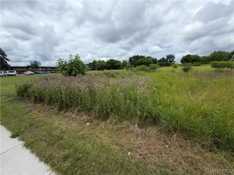 Level Ready-to-Build Commercial Land