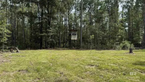 Hunting Land with Timber